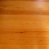 Pitchpine
