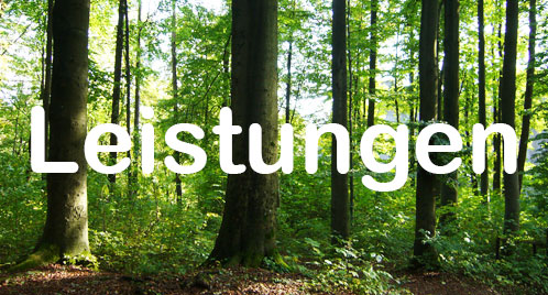Leistungen Leistungen